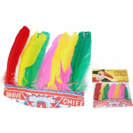 Čelenka indiánská