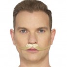 Knír Angličan blond