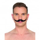 Knír Angličan černý