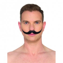 Knír Angličan černý