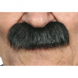 Knír dlouhý černošedý