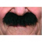 Knír dlouhý černý