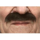 Knír krátký hnědý