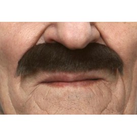 Knír krátký hnědý