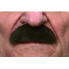 Knír rovný hnědý