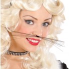 Černé vousky kočička