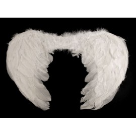 Andělská křídla 35x45 cm