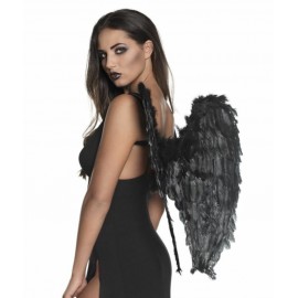 Černá péřová křídla