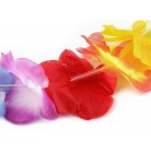 Havajský věnec s květy