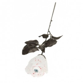 Bílá růže s okem