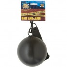 Koule s řetězem pro trestance