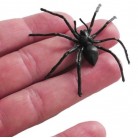 Pavouk platový 6 cm