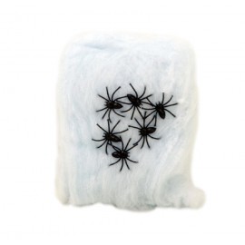 Pavučina se 6 pavouky