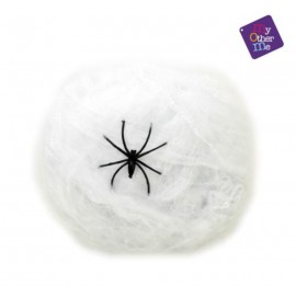 Pavučina s pavoukem