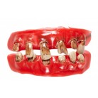 Karnevalové zuby stařec