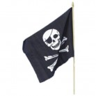 Pirátská vlajka 30x45 cm