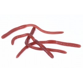 Žížaly na blistru