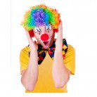 Paruka klaun barevná dospělá