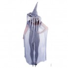 Čarodějnický plášť s kloboukem pro dospělé Halloween