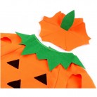 Karnevalový kostým dýně