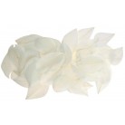 Peříčka k dekorování 3 g v sáčku - bílá