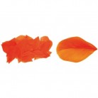 Peříčka k dekorování 3 g v sáčku - oranžová