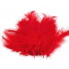 Pštrosí peří délka 9-16 cm č.5 červená