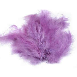 Pštrosí peří délka 9-16 cm č.19 fialová
