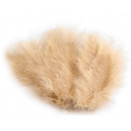 Pštrosí peří délka 9-16 cm č.24 krémová