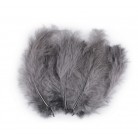 Pštrosí peří délka 9-16 cm č.50 šedá střední