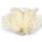 Pštrosí peří délka 9-16 cm č.14 vanilka