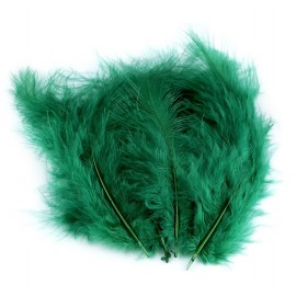 Pštrosí peří délka 9-16 cm č.49 zelená