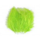 Pštrosí peří délka 9-16 cm č.52 zelená limetková