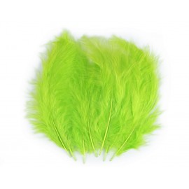 Pštrosí peří délka 9-16 cm č.52 zelená limetková
