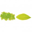 Peříčka k dekorování 3 g v sáčku- světle zelená