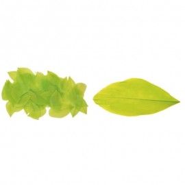 Peříčka k dekorování 3 g v sáčku- světle zelená