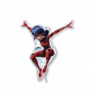 Mini foliový balónek Kouzelná Beruška