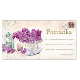 Pozvánka na párty šeřík P007