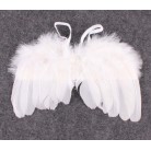 Sada pro miminko křidýlka na focení bílé se svatozáří (č8) 