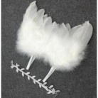 Sada pro miminko křidýlka na focení bílé se stříbrnými větvičkami čelenka (č10) 