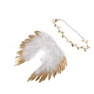 Sada pro miminko křidýlka na focení bílozlatá (č1) 