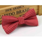 Dětský motýlek bordo s puntíky