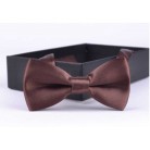 Dětský motýlek hnědý