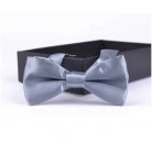 Dětský motýlek stříbrný