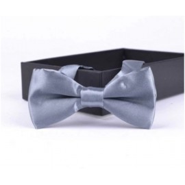 Dětský motýlek stříbrný