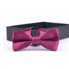 Dětský motýlek vínový